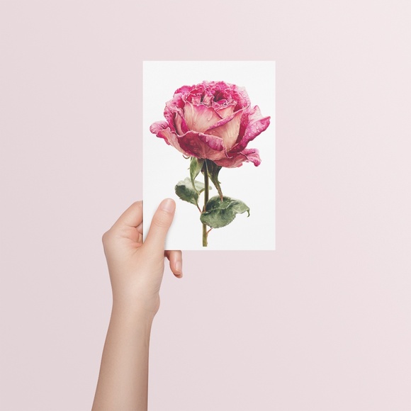 Watercolor Single Pink Rose Wall Art Print, Unframed - Delicate Floral Elegance - Picture 5 of 6